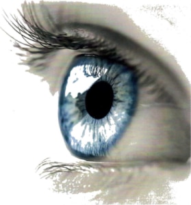 macular degeneration in the eye